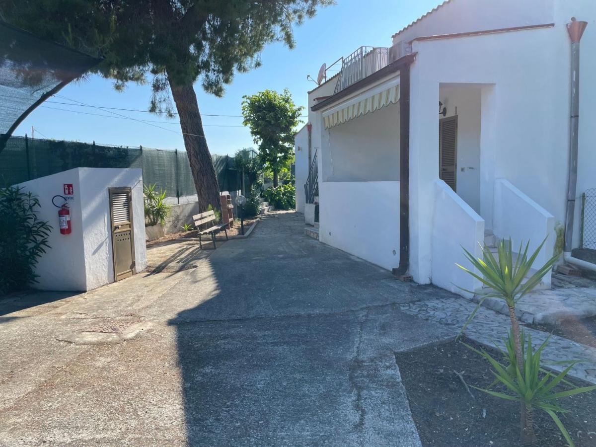 Appartamenti Le Porte Del Gargano Vieste Eksteriør billede