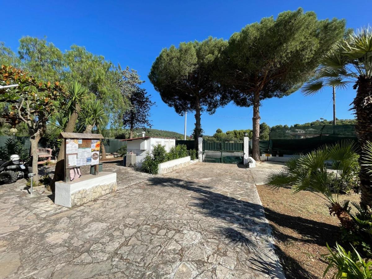 Appartamenti Le Porte Del Gargano Vieste Eksteriør billede