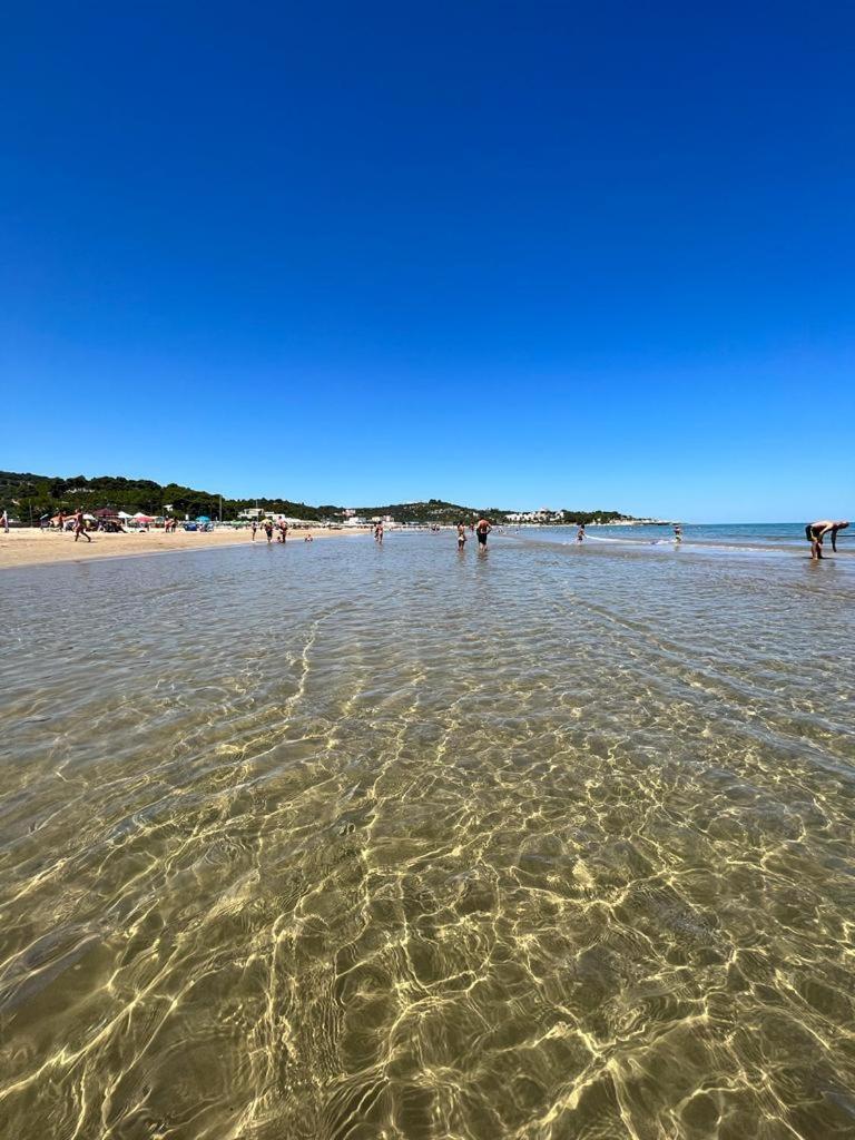 Appartamenti Le Porte Del Gargano Vieste Eksteriør billede